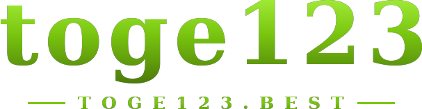 toge123 logo